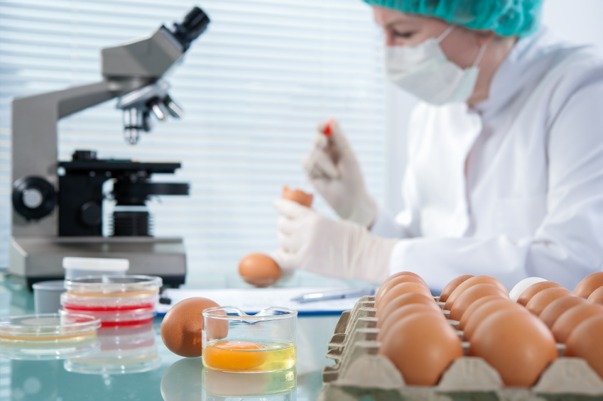 Food safety professionals keep food supplies safe 