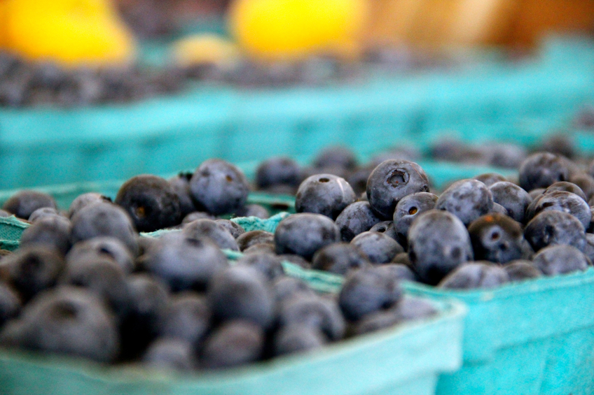 Professionals with nutrition and health training know blueberries have anti-oxidants
