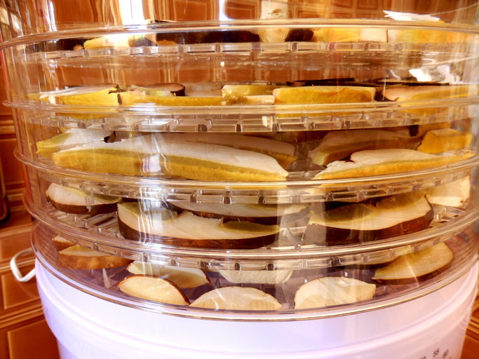 food quality assurance and quality control