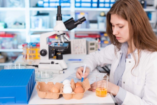 food safety diploma