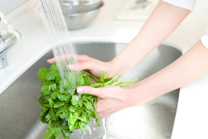 food handling course
