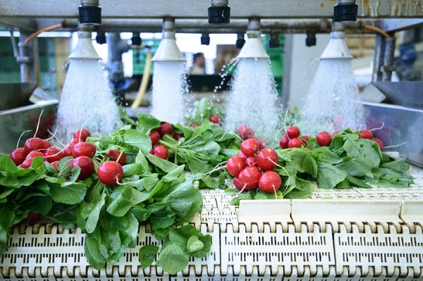 Chemicals can be used to wash pathogens off of vegetables, so they can be safely consumed raw