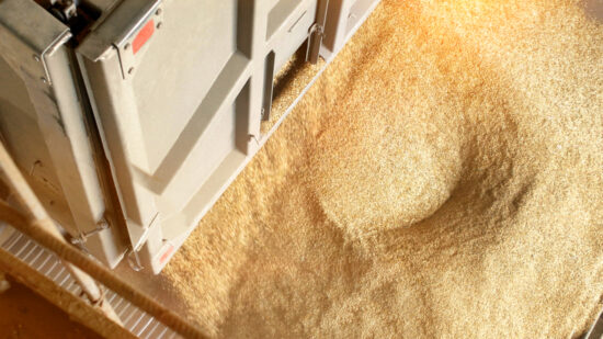 food technology diploma