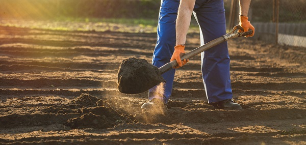 Owners of micro cultivation companies are more likely to do a lot of the work by hand, themselves
