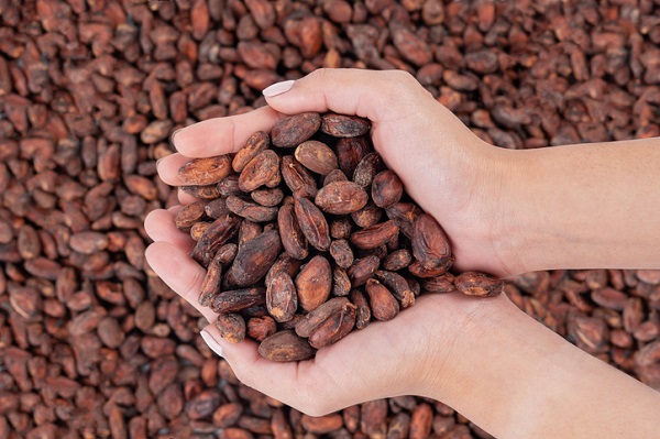 Choosing the right beans is just as important as choosing the right strains