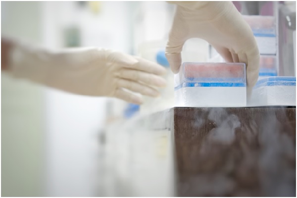 Organization keeps the right aspects of a clinical trial constant or similar