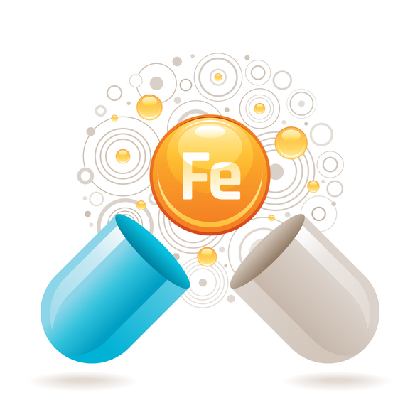 Iron helps the body with functions such as transporting oxygen to tissues and cognitive development 