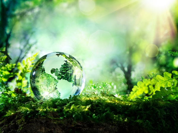 Hydroponics provides a greener farming option that can benefit the health of the planet