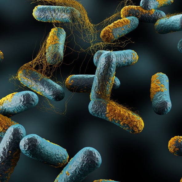 Clostridium Botulinum is the bacteria responsible for botulism