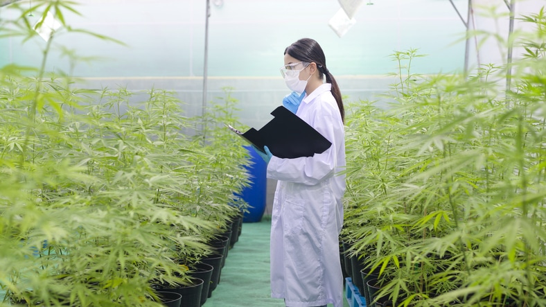 A cannabis quality assurance professional holding a clipboard after cannabis industry training