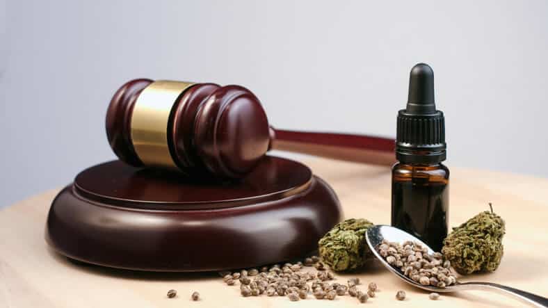 A picture illustrating the legal regulations of cannabis cultivation and marketing in cannabis industry training