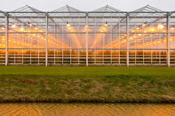 Craft cannabis is produced by growers who have Health Canada’s micro-cultivator licence