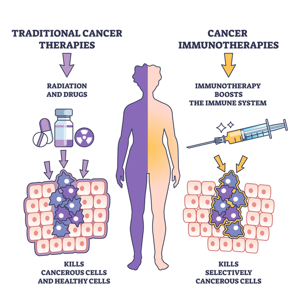 Immunotherapy concept to be explored in clinical research training