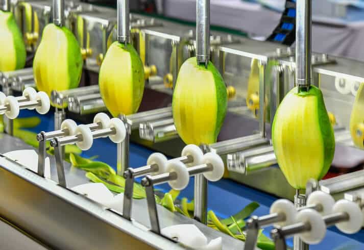 Mango peeler machine production line in food safety training