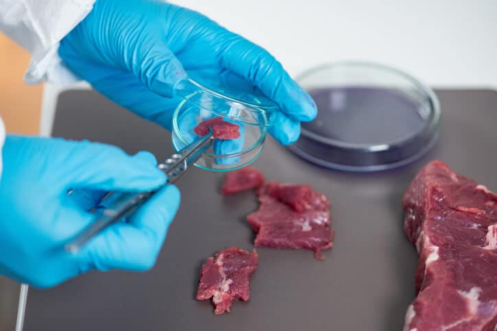 A microbiologist sampling pathogenic microbes in meat during food safety training