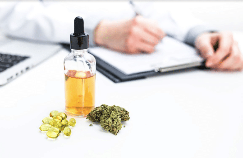 cannabis industry courses
