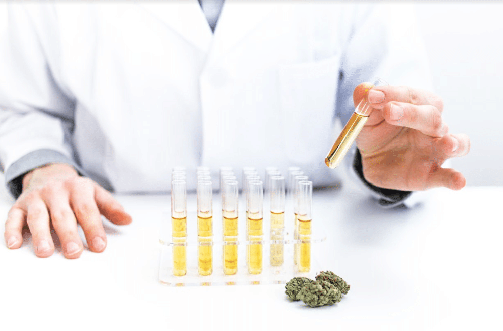 cannabis retail courses