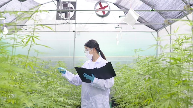 cannabis industry training
