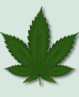 Jobs in Food & Pharmaceutical Industry