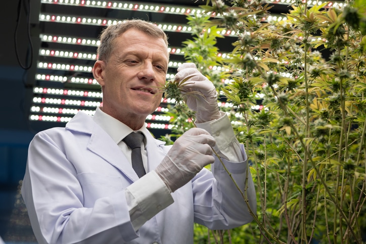 A close-up picture of a medical cannabis professional in cannabis industry training
