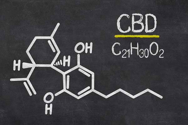 medical marijuana certification training